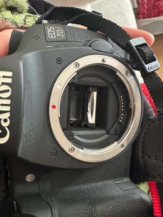 Canon EOS 7D Cámara Réflex Digital