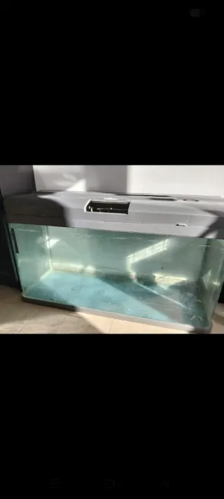 Acuario 200L con tapa