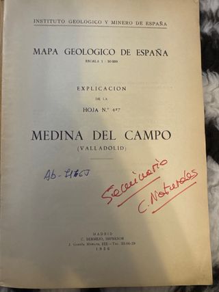 MAGNAS: San Cebrián de Campos y Medina del Campo