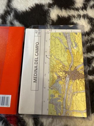 MAGNAS: San Cebrián de Campos y Medina del Campo