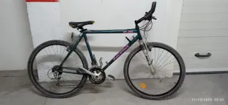 Bicicleta Montaña Shimano Adulto