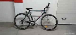 Bicicleta Montaña Shimano Adulto