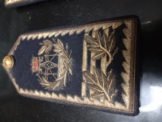 Pala charretera Ingeniero Telecomunicaciones