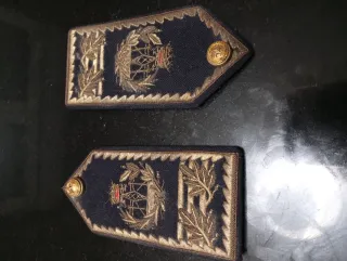 Pala charretera Ingeniero Telecomunicaciones