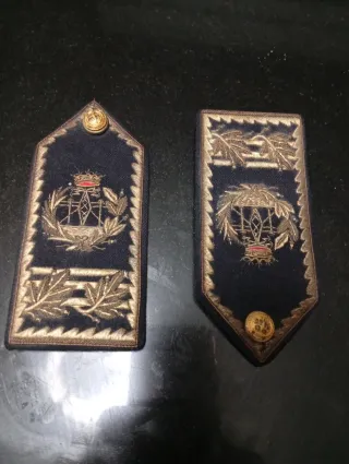 Pala charretera Ingeniero Telecomunicaciones