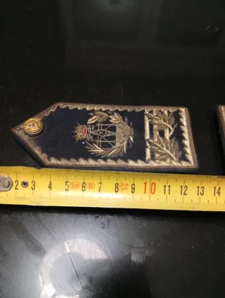 Pala charretera Ingeniero Telecomunicaciones