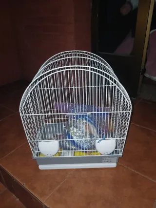 Jaula para pájaros blanca y gris