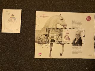 Selos FC Porto e Vista Alegre