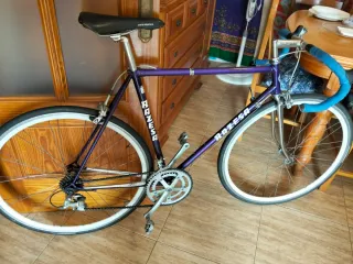 Bicicleta Carretera Razesa Vintage