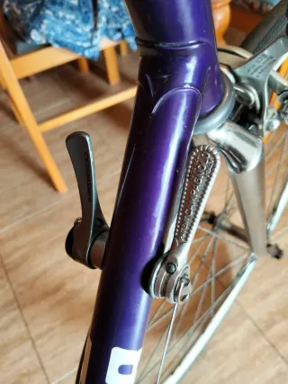 Bicicleta Carretera Razesa Vintage