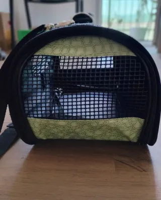 Transportín para gato