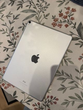 Ipad Pro 10.5 256 gb