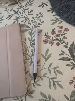 Ipad Pro 10.5 256 gb