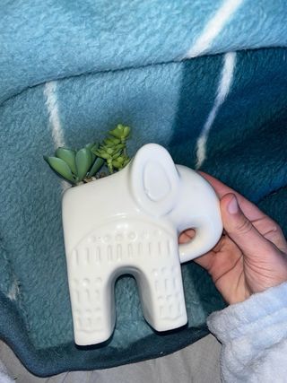 Maceta Elefante Blanco Cerámica