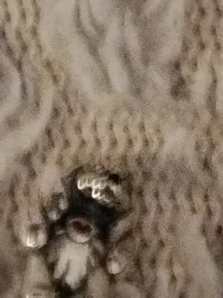 Charm Dama y el Vagabundo Corazón Rojo