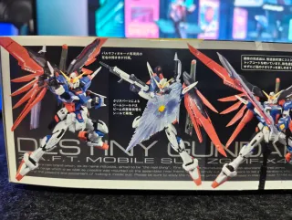 RG 1/144 Destiny Gundam Zgmf-x42s