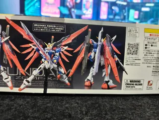 RG 1/144 Destiny Gundam Zgmf-x42s