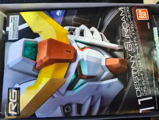 RG 1/144 Destiny Gundam Zgmf-x42s
