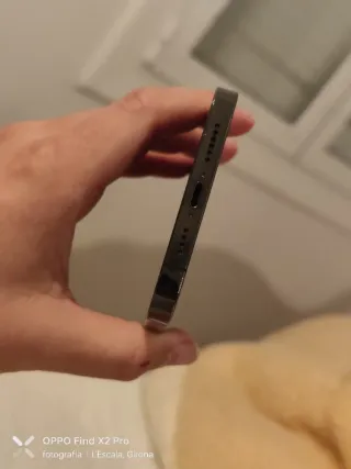 iPhone 12 Pro Max grigio speciale