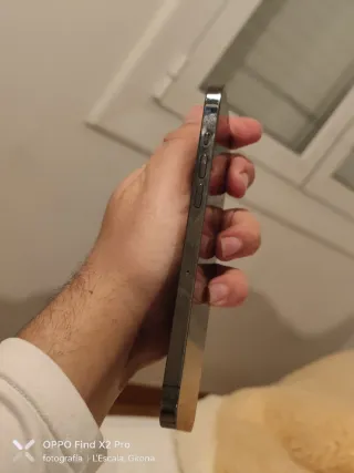 iPhone 12 Pro Max grigio speciale