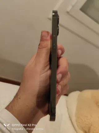 iPhone 12 Pro Max grigio speciale