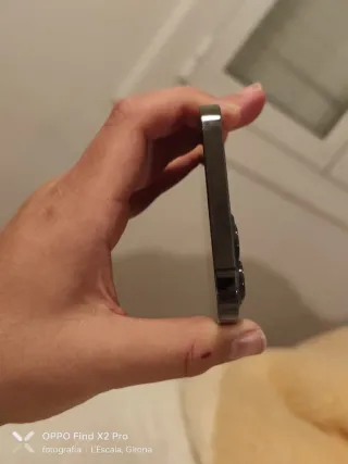 iPhone 12 Pro Max grigio speciale