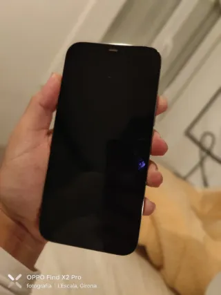 iPhone 12 Pro Max grigio speciale