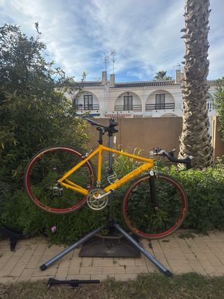 Juego de ruedas Rolf Vector Comp 700c