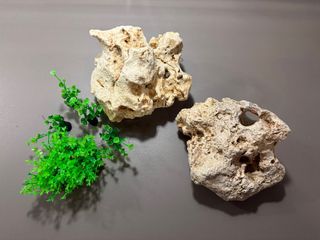 Piedras y planta artificial para acuario