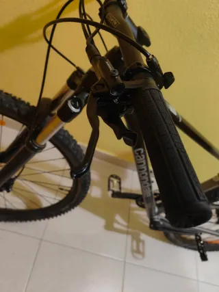 Bicicleta Cannondale Trail 5 2024.