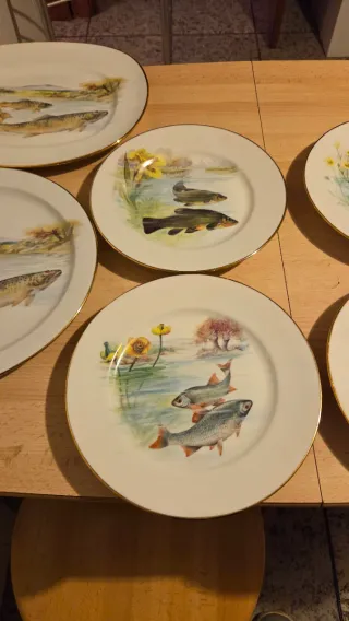 Juego de 8 Platos Decorativos de Porcelana