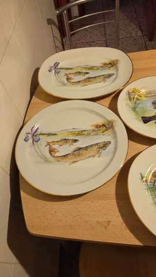 Juego de 8 Platos Decorativos de Porcelana