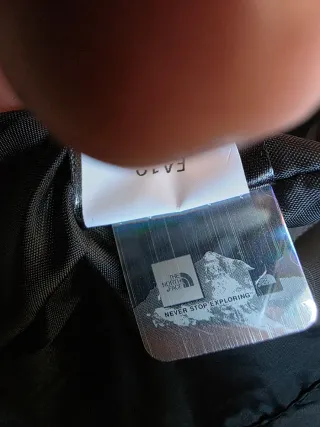 Casaco The North Face Nuptse 700 Azul T(L)