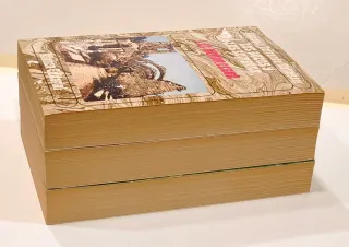 Libro Los gozos y las sombras Torrente Ballester