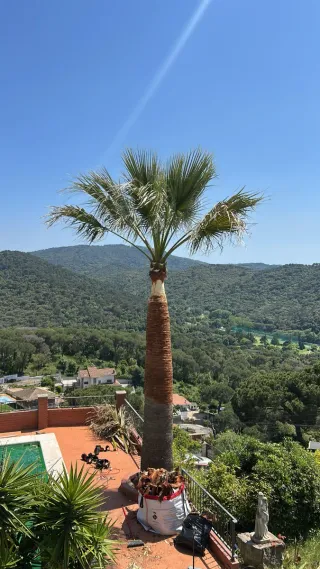 Jardinero profesional