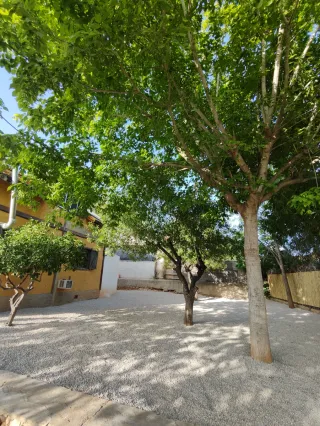 Jardinero profesional