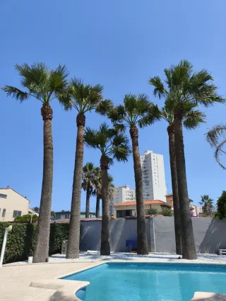 Jardinero profesional