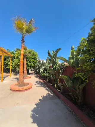 Jardinero profesional