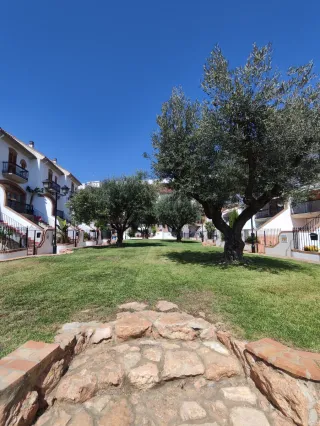 Jardinero profesional