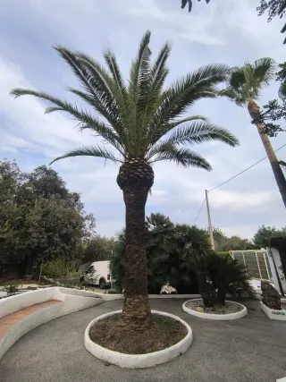 Jardinero profesional