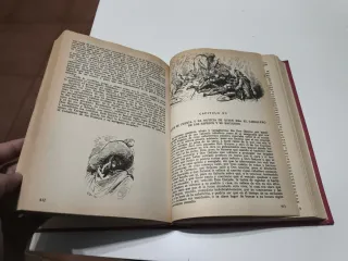 Don Quijote de la Mancha (Spanish Edition)