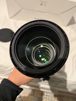 Sigma 150-600 + extender canon EF