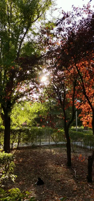 Clases particulares - presencial