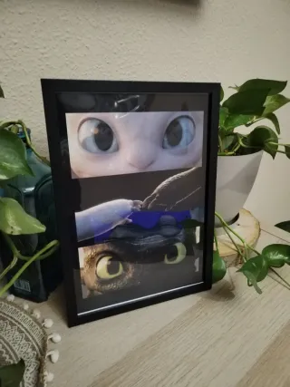 Cuadro Como Entrenar a tu Dragón