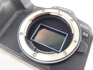 camara digital evil canon eos r8