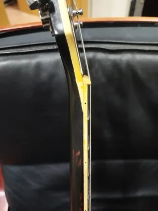 OFERTA FIN SEMANA: Guitarra Maya GoldTop