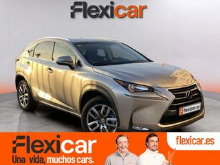 Lexus NX 2.5 300h Business 2WD
