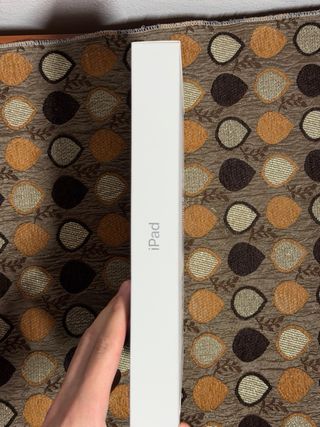 Apple iPad