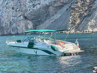 PRECIO 35.000 € Sea Ray 270 + Remolque