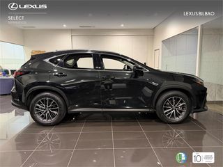 LEXUS NX SUV EXECUTIVE 2.5 Hibrido HEV Transmisión Automati